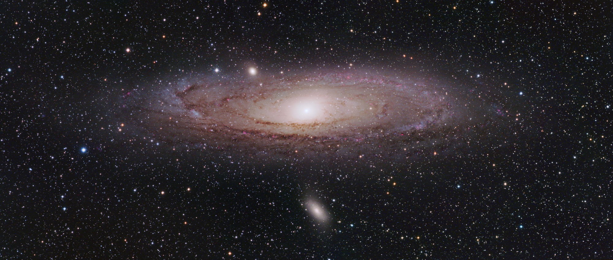 M31
