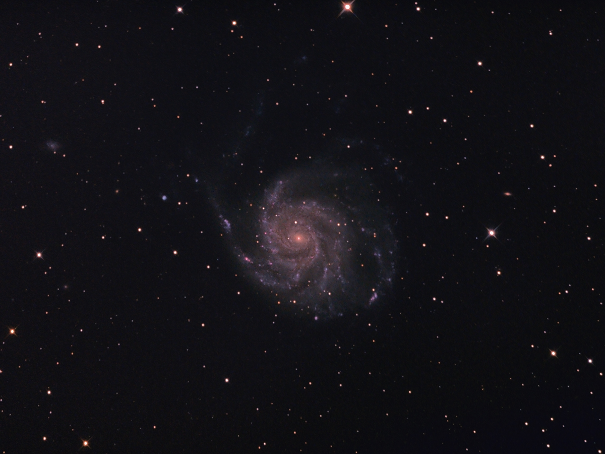 M101