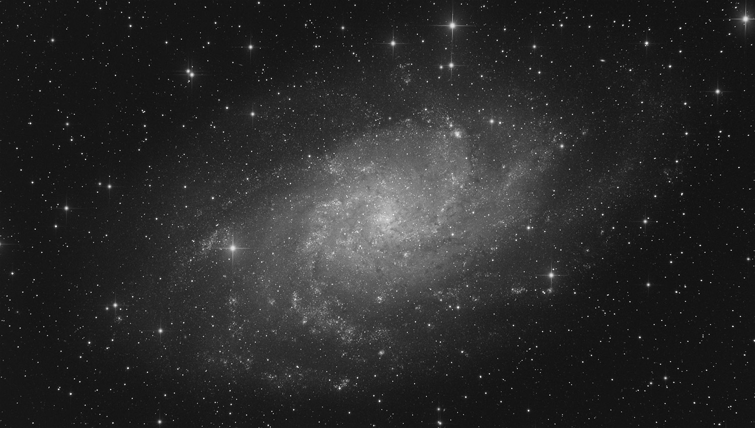 M33